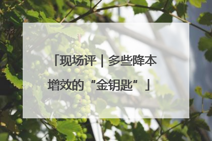 现场评｜多些降本增效的“金钥匙”
