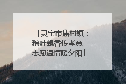 灵宝市焦村镇：粽叶飘香传孝意 志愿温情暖夕阳