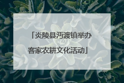 炎陵县沔渡镇举办客家农耕文化活动