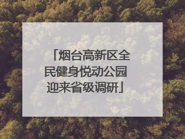 烟台高新区全民健身悦动公园迎来省级调研