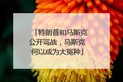 特朗普和马斯克公开骂战，马斯克何以成为大冤种
