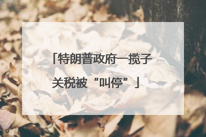 特朗普政府一揽子关税被“叫停”