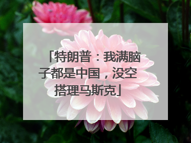 特朗普：我满脑子都是中国，没空搭理马斯克