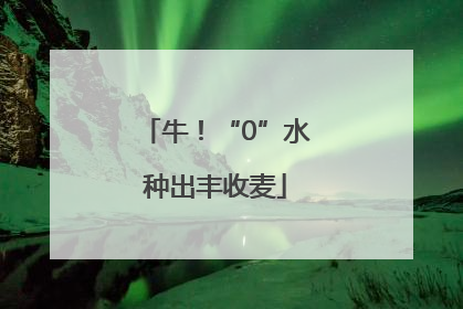 牛！“0”水种出丰收麦