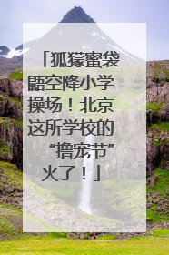 狐獴蜜袋鼯空降小学操场！北京这所学校的“撸宠节”火了！