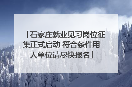 石家庄就业见习岗位征集正式启动 符合条件用人单位请尽快报名
