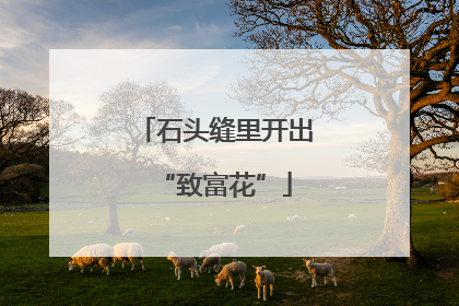 石头缝里开出“致富花”