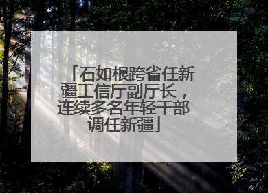 石如根跨省任新疆工信厅副厅长，连续多名年轻干部调任新疆