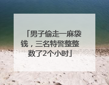 男子偷走一麻袋钱，三名特警整整数了2个小时