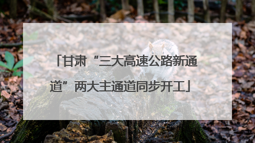甘肃“三大高速公路新通道”两大主通道同步开工