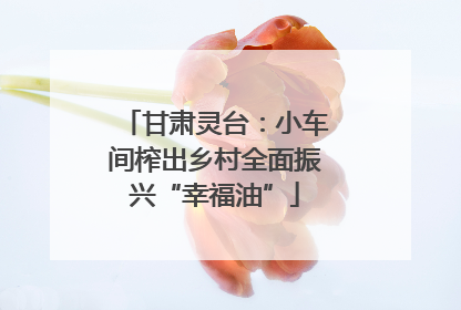 甘肃灵台：小车间榨出乡村全面振兴“幸福油”