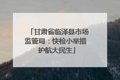 甘肃省临泽县市场监管局：快检小举措 护航大民生
