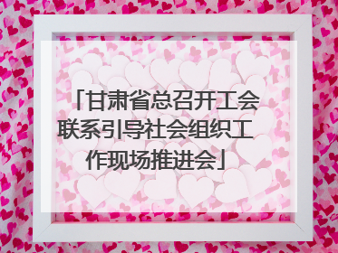 甘肃省总召开工会联系引导社会组织工作现场推进会