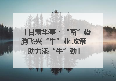 甘肃华亭：“畜”势腾飞兴“牛”业 政策助力添“牛”劲