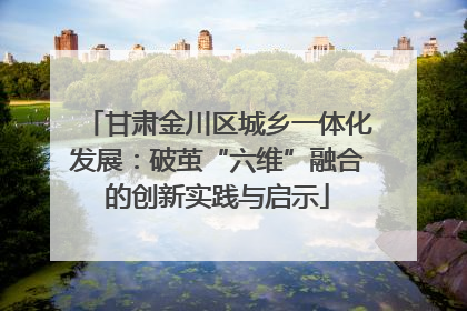甘肃金川区城乡一体化发展：破茧“六维”融合的创新实践与启示