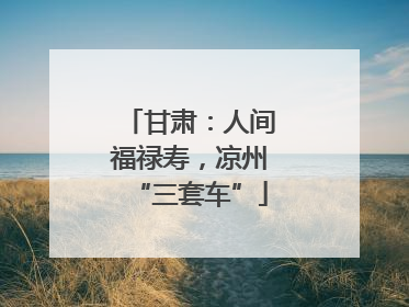 甘肃：人间福禄寿，凉州“三套车”