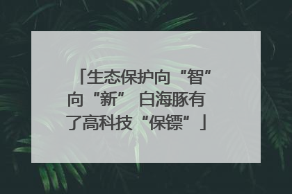 生态保护向“智”向“新” 白海豚有了高科技“保镖”