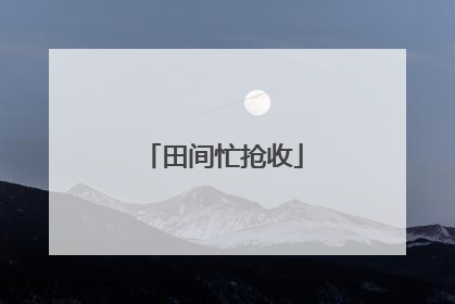 田间忙抢收