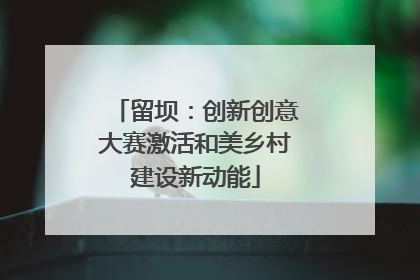 留坝：创新创意大赛激活和美乡村建设新动能