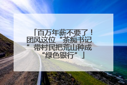 百万年薪不要了！团风这位“茶痴书记”带村民把荒山种成“绿色银行”