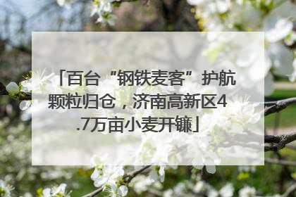百台“钢铁麦客”护航颗粒归仓，济南高新区4.7万亩小麦开镰