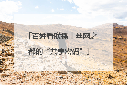 百姓看联播丨丝网之都的“共享密码”