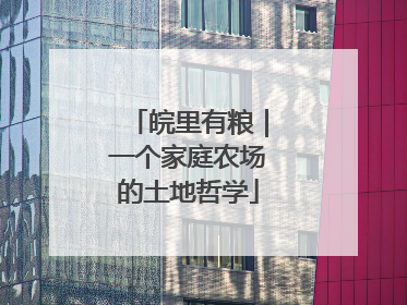 皖里有粮｜一个家庭农场的土地哲学