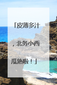皮薄多汁，北务小西瓜熟啦！