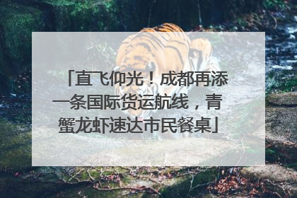 直飞仰光！成都再添一条国际货运航线，青蟹龙虾速达市民餐桌