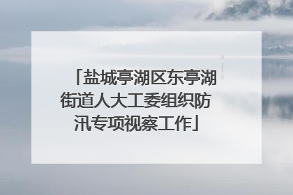 盐城亭湖区东亭湖街道人大工委组织防汛专项视察工作
