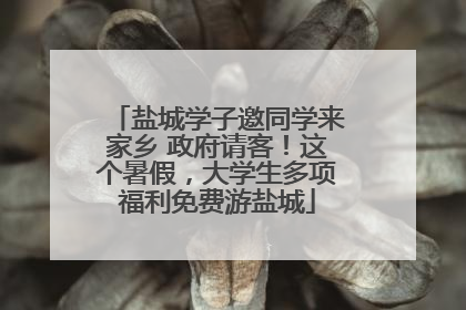 盐城学子邀同学来家乡 政府请客！这个暑假，大学生多项福利免费游盐城