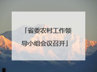 省委农村工作领导小组会议召开