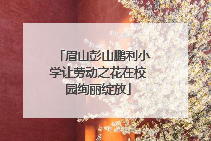 眉山彭山鹏利小学让劳动之花在校园绚丽绽放
