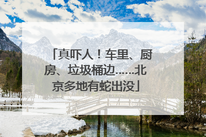 真吓人！车里、厨房、垃圾桶边……北京多地有蛇出没