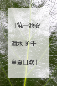 筑一池安澜水 护千童夏日欢