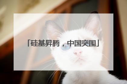 硅基昇腾，中国突围