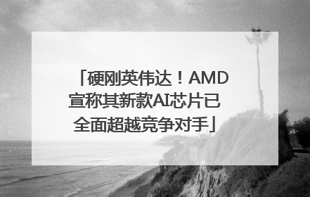 硬刚英伟达！AMD宣称其新款AI芯片已全面超越竞争对手