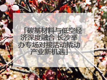 碳基材料与低空经济深度融合 长沙举办专场对接活动撬动产业新机遇