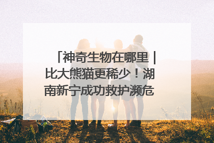 神奇生物在哪里｜比大熊猫更稀少！湖南新宁成功救护濒危鸟类海南鳽