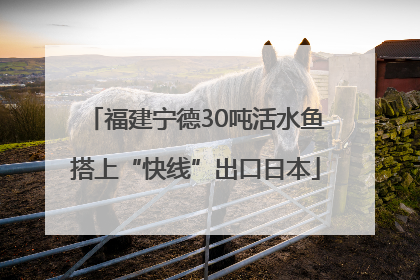 福建宁德30吨活水鱼搭上“快线”出口日本