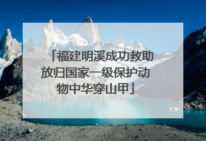 福建明溪成功救助放归国家一级保护动物中华穿山甲