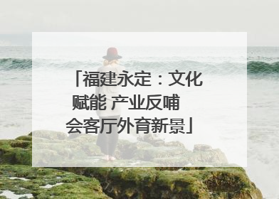 福建永定：文化赋能 产业反哺 会客厅外育新景