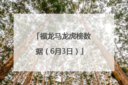 福龙马龙虎榜数据（6月3日）