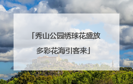 秀山公园绣球花盛放 多彩花海引客来