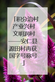 积分治村 产业兴村 文明润村——安仁县源田村再获国字号称号