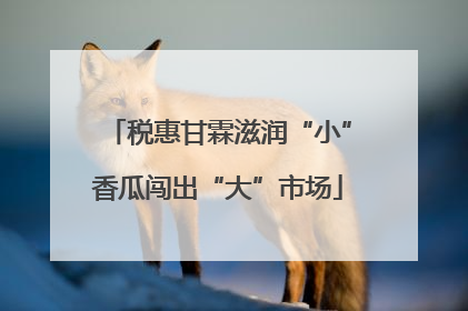 税惠甘霖滋润“小”香瓜闯出“大”市场