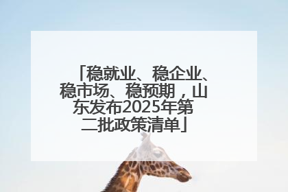 稳就业、稳企业、稳市场、稳预期，山东发布2025年第二批政策清单
