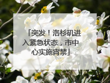 突发！洛杉矶进入紧急状态，市中心实施宵禁