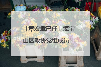 章宏斌已任上海宝山区政协党组成员