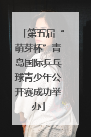 第五届“萌芽杯”青岛国际乒乓球青少年公开赛成功举办